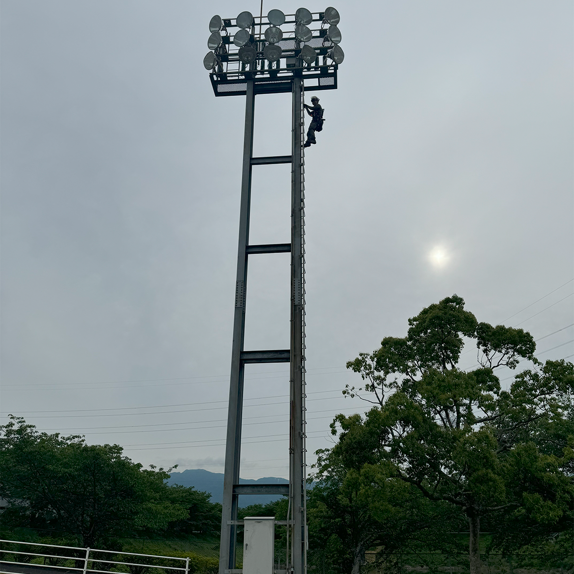 求人情報